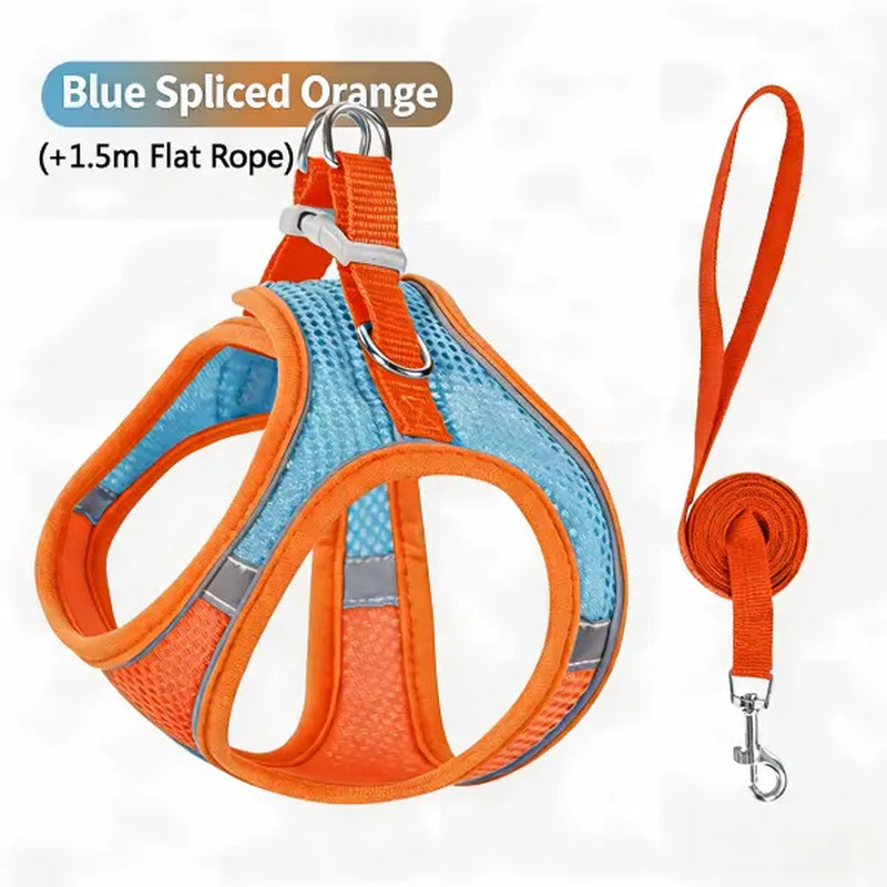 Spoiled Paws Nylon Dog & Cat Harness and Leash Set - Solid, Quick Buckle On/Off, 1 Size, Cushioned Edges, No Pull, Breathable Soft Mesh, Reflective, Adjustable, Machine Washable, Travel-Friendly, Outdoor Walking Control for Small-Medium Pets