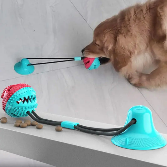 Dog Chew Toy Balls, Pet Supplies Bite-Resistant Suction Cup Balls, Molar Food Leaking Dog Toy