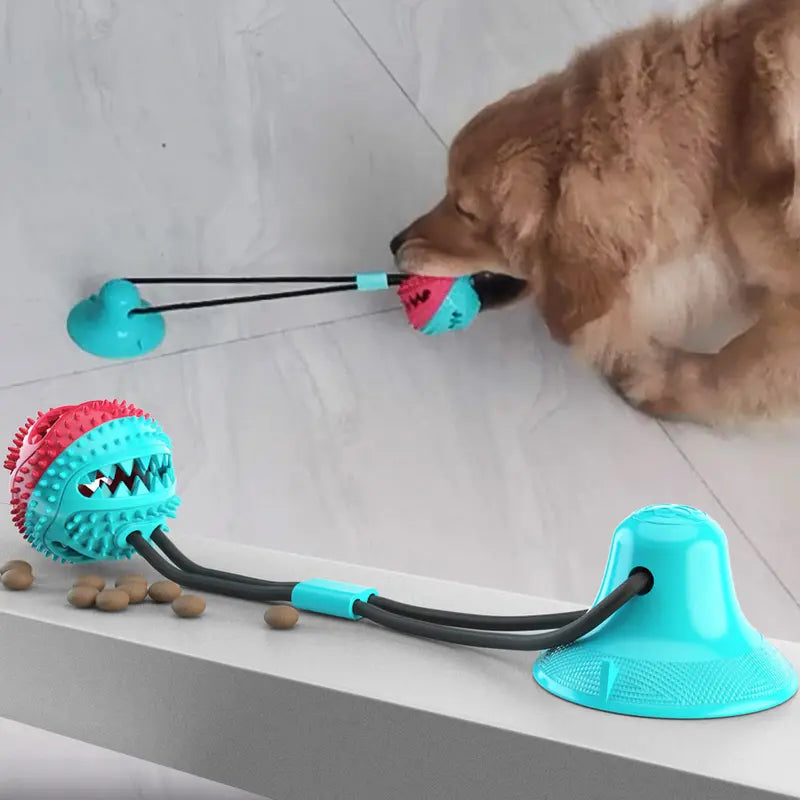 Dog Chew Toy Balls, Pet Supplies Bite-Resistant Suction Cup Balls, Molar Food Leaking Dog Toy