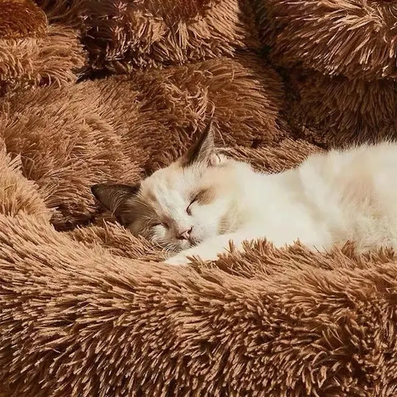 Paw Print Bed