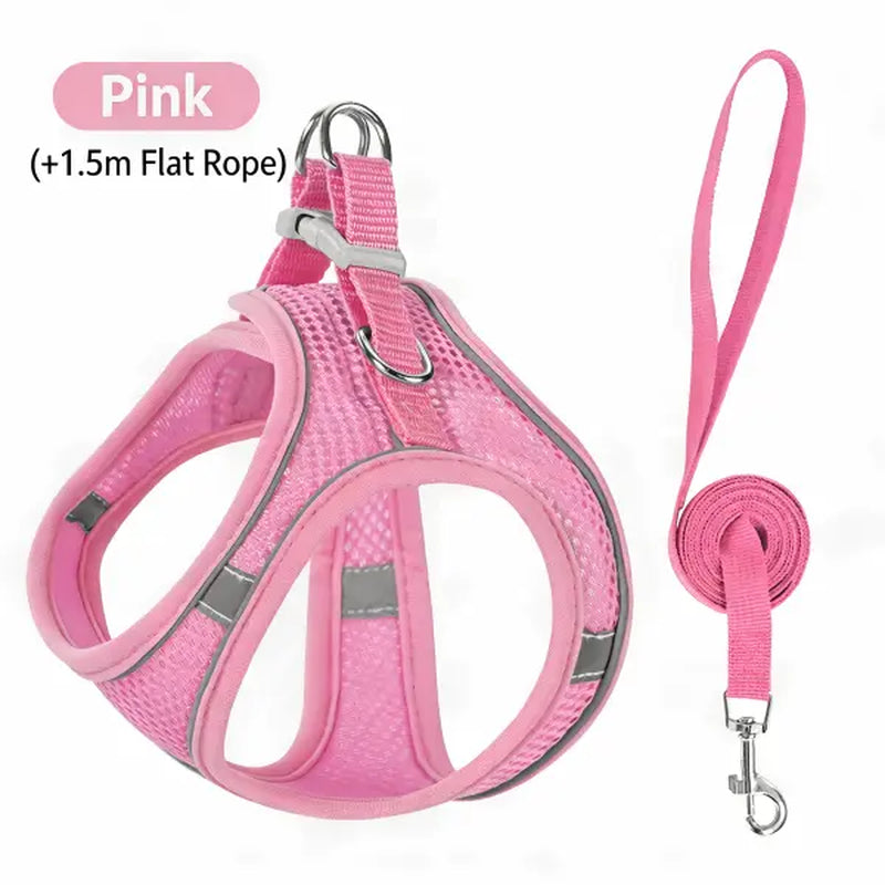Spoiled Paws Nylon Dog & Cat Harness and Leash Set - Solid, Quick Buckle On/Off, 1 Size, Cushioned Edges, No Pull, Breathable Soft Mesh, Reflective, Adjustable, Machine Washable, Travel-Friendly, Outdoor Walking Control for Small-Medium Pets