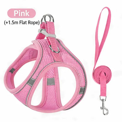 Spoiled Paws Nylon Dog & Cat Harness and Leash Set - Solid, Quick Buckle On/Off, 1 Size, Cushioned Edges, No Pull, Breathable Soft Mesh, Reflective, Adjustable, Machine Washable, Travel-Friendly, Outdoor Walking Control for Small-Medium Pets
