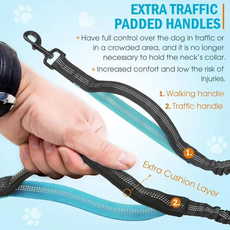 Hands Free Dog Leash with Zipper Pouch Dual Padded Handles and Durable Bungee for Walking Jogging Running Dog Pet