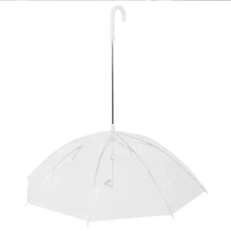 Rainpaw Pet Umbrella Leash 🌧️🐾