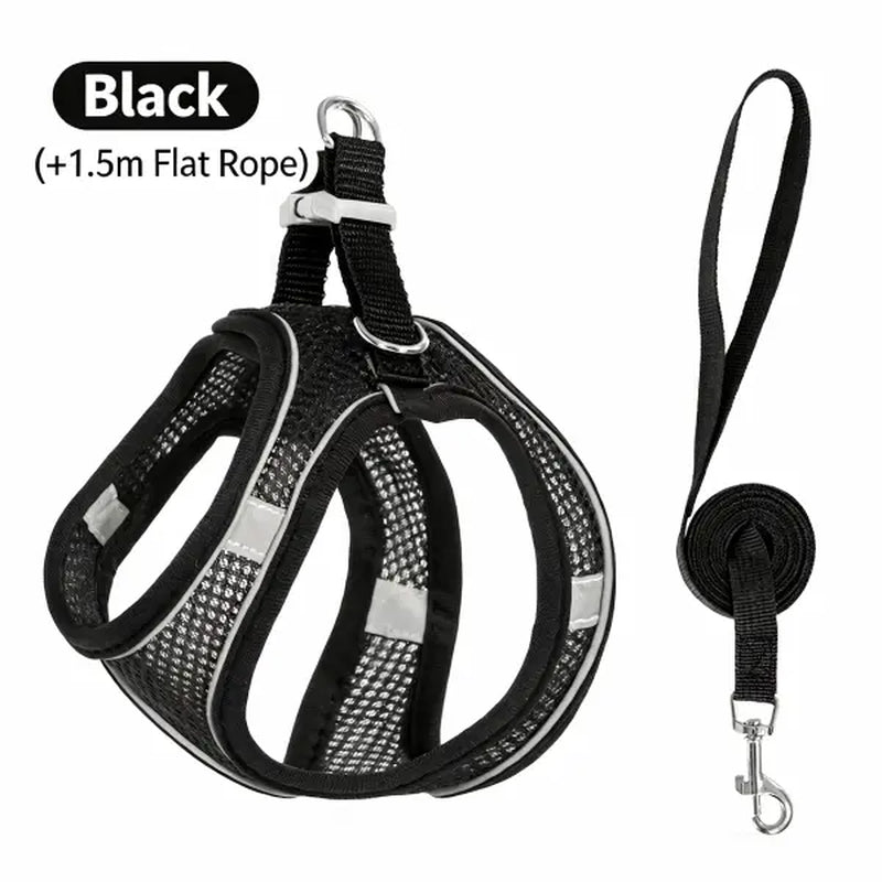 Spoiled Paws Nylon Dog & Cat Harness and Leash Set - Solid, Quick Buckle On/Off, 1 Size, Cushioned Edges, No Pull, Breathable Soft Mesh, Reflective, Adjustable, Machine Washable, Travel-Friendly, Outdoor Walking Control for Small-Medium Pets
