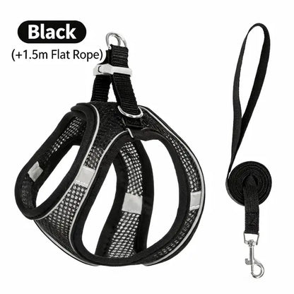 Spoiled Paws Nylon Dog & Cat Harness and Leash Set - Solid, Quick Buckle On/Off, 1 Size, Cushioned Edges, No Pull, Breathable Soft Mesh, Reflective, Adjustable, Machine Washable, Travel-Friendly, Outdoor Walking Control for Small-Medium Pets