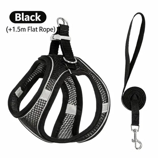Spoiled Paws Nylon Dog & Cat Harness and Leash Set - Solid, Quick Buckle On/Off, 1 Size, Cushioned Edges, No Pull, Breathable Soft Mesh, Reflective, Adjustable, Machine Washable, Travel-Friendly, Outdoor Walking Control for Small-Medium Pets