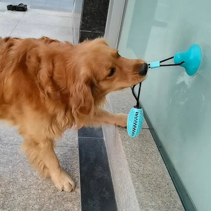 Dog Chew Toy Balls, Pet Supplies Bite-Resistant Suction Cup Balls, Molar Food Leaking Dog Toy