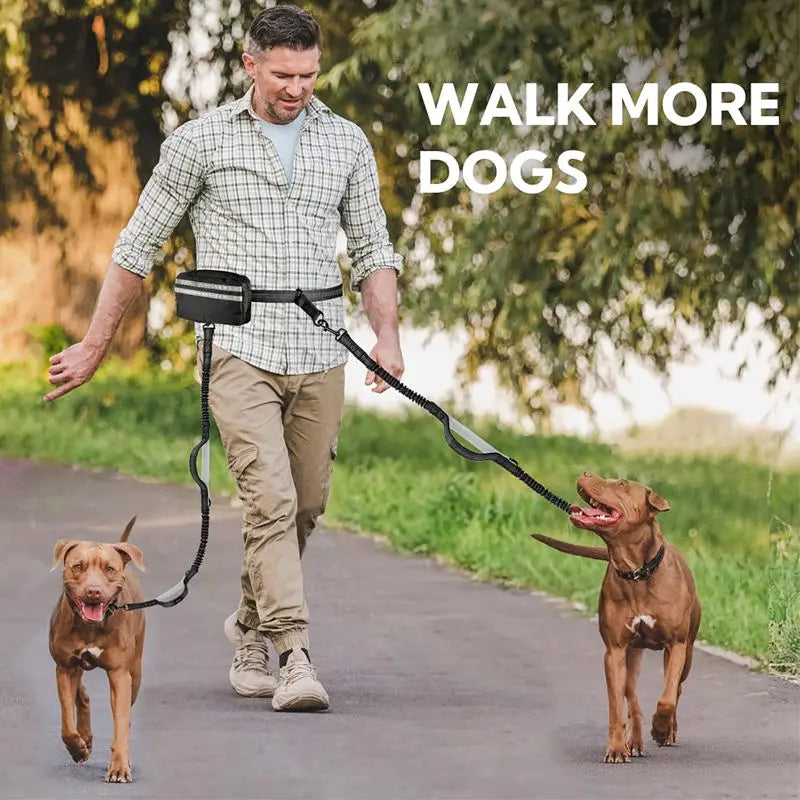 Hands Free Dog Leash with Zipper Pouch Dual Padded Handles and Durable Bungee for Walking Jogging Running Dog Pet