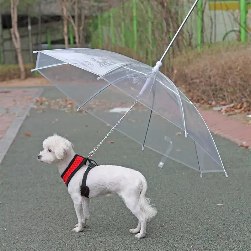 Rainpaw Pet Umbrella Leash 🌧️🐾