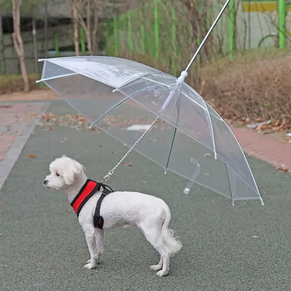 Rainpaw Pet Umbrella Leash 🌧️🐾
